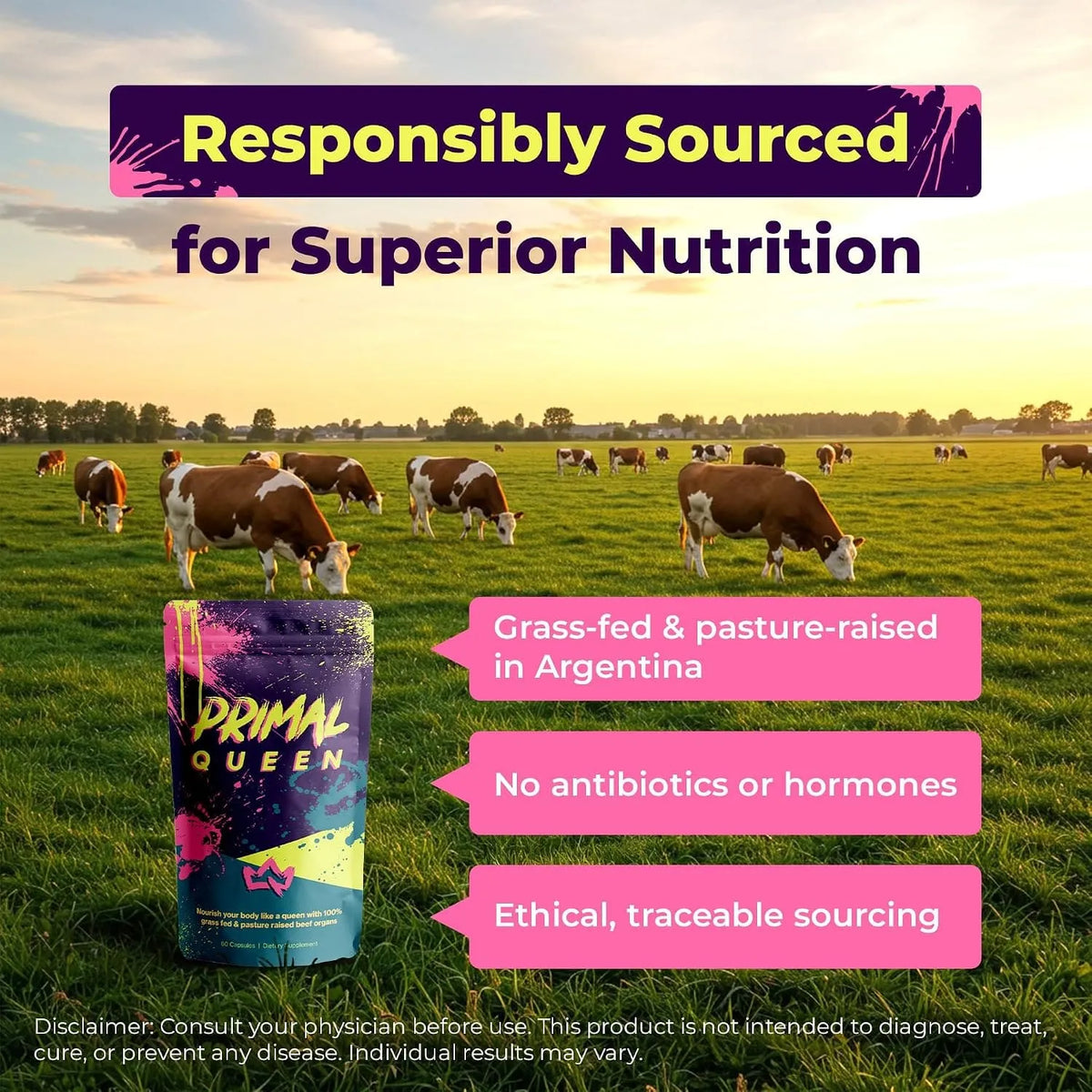Beef Organ Superfood